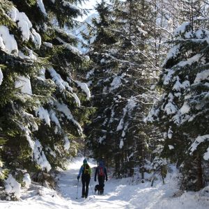 Winterwanderung, © Österreichs Wanderdörfer, Corinna Widi