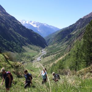 Singlewandern in der Gruppe, © Österreichs Wanderdörfer, Corinna Widi