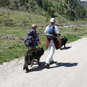 Wandertipp mit Hund, © Österreichs Wanderdörfer, Corinna Widi