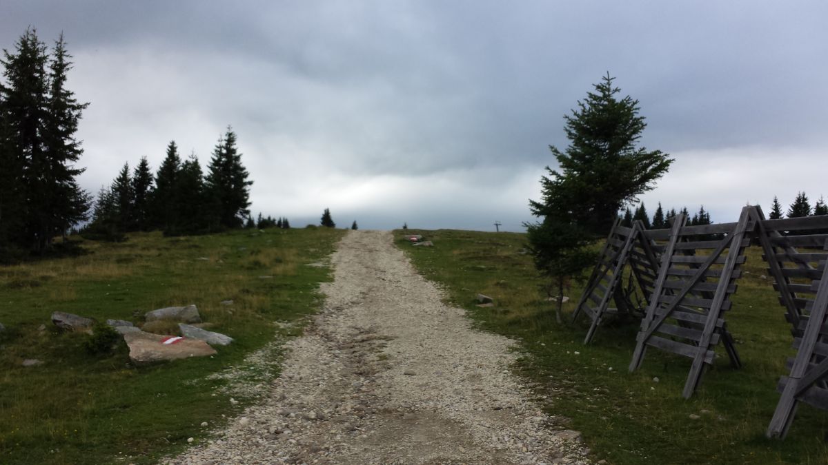 Der Schotterweg ist leicht ansteigend, © Österreichs Wanderdörfer, Elisabeth Pfeifhofer