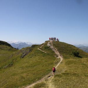 Wanderung über das Hochplateau zur Frauenalm, © Flachau Tourismus, Elisabeth Scharfetter