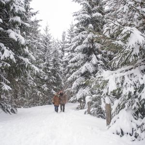 Winterlandschaft mit Winterwanderer, © Altenmarkt-Zauchensee Tourismus
