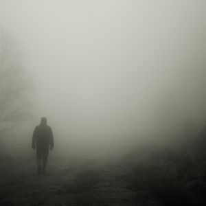 Wanderung durch Moor im Nebel, pixabay