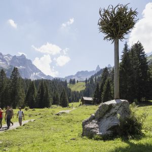 Der Geweihbaum - Gauertaler AlpkulTour, © Andreas Haller - Montafon Tourismus GmbH, Schruns