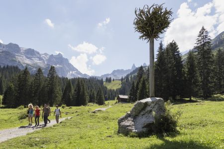 Der Geweihbaum - Gauertaler AlpkulTour, © Andreas Haller - Montafon Tourismus GmbH, Schruns