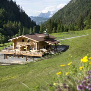 Pulvermacherscherm im Hörndlinger Graben bei Fieberbrunn, Kitzbüheler Alpen