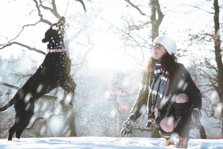 Hund Winter, pexels