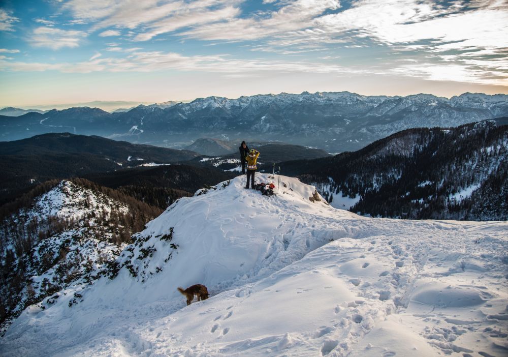 Winter Landschaft Hund, pexels