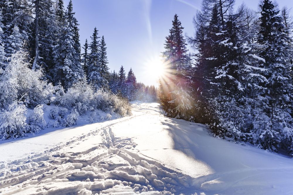 Winterwandern © TVB Naturpark Zirbitzkogel-Grebenzen, Mediadome
