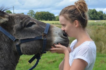 Mädchen küsst Esel, Pixabay