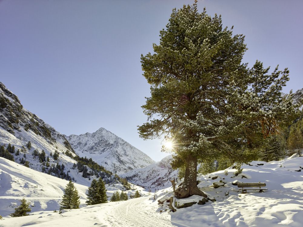 Schneeschuhwanderung Gries Aufstieg zur Nissl Alm © Ötztal Tourismus