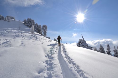 gefuehrte-skitour-loosbuehel Berg-Gesund© TVB Grossarltal