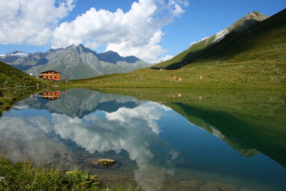 Berger Kogel in Osttirol © Nationalpark Hohe Tauern, Scheifele