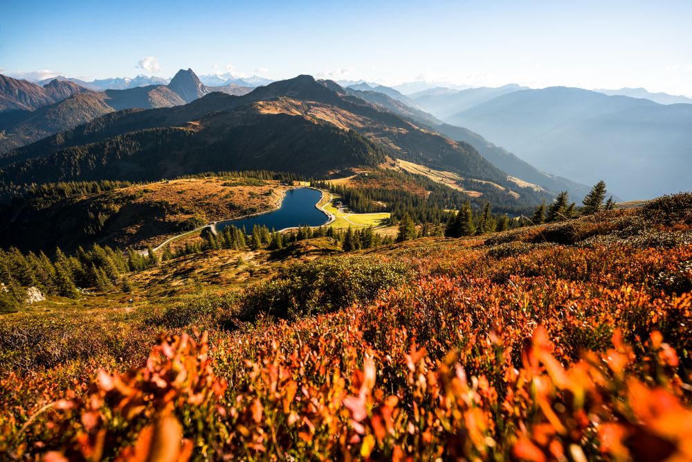 Herbst Kitzbüheler Alpen © Mathäus Gartner
