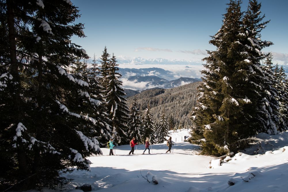 2014_Winter_Schneeschuhwandern_Saualpe_Eberstein © Region Mittelkärnten (4)