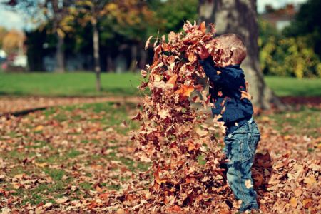 Herbstliches Spielen im Laub © Pixabay